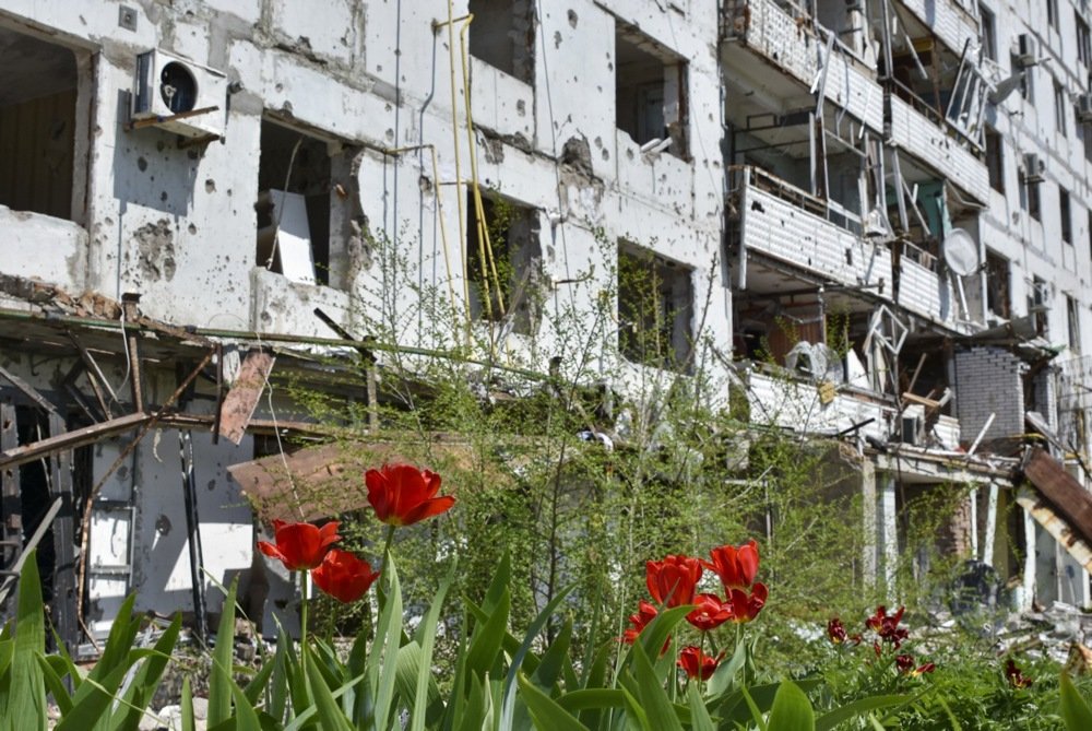 Tulips bloom near a war-damaged building in the city of Orikhiv, in Ukraine’s Zaporizhzhia region, 24 April 2025. Photo: EPA-EFE/65 MECHANISED BRIGADE