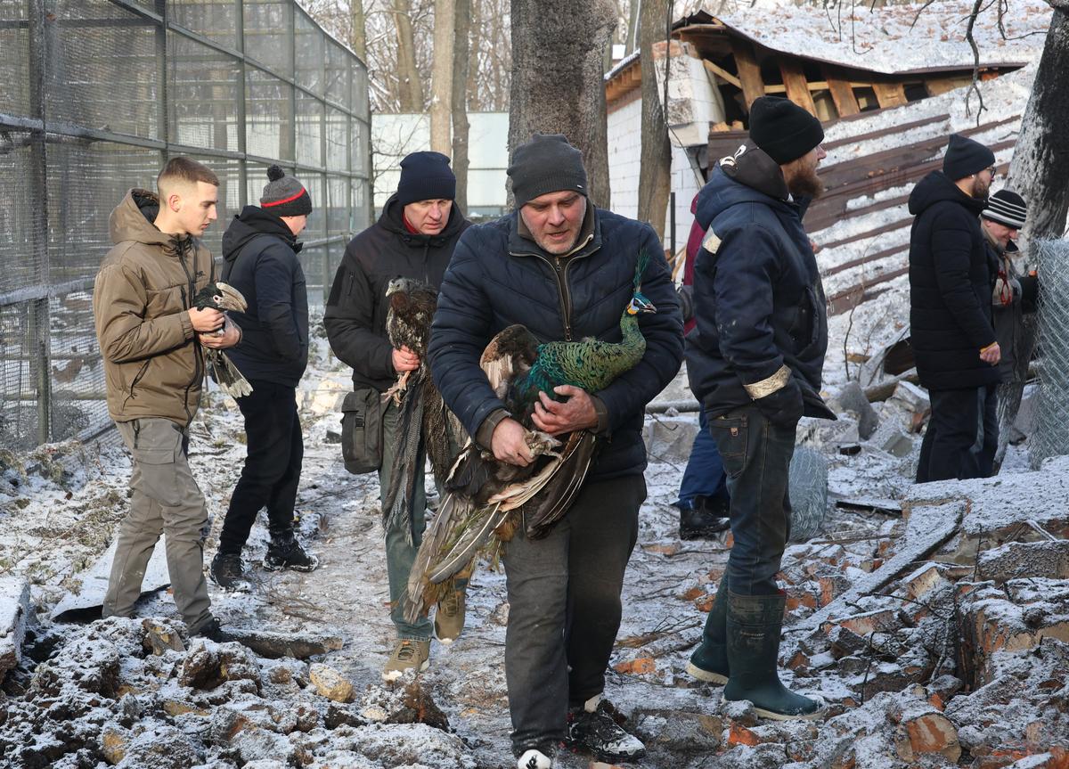 Staff members remove birds from a damaged aviary at the Feldman EcoPark in Kharkiv following a Russian glide bomb strike, 1 January 2026. Photo: EPA / SERGEY KOZLOV