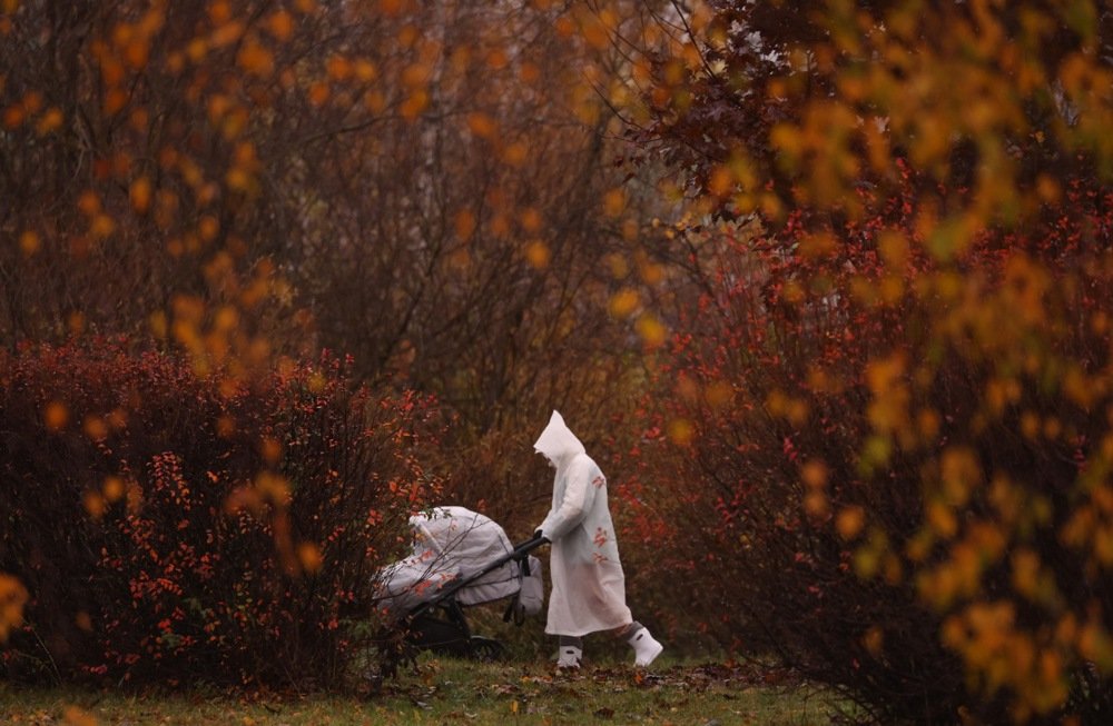 Photo: EPA-EFE/MAXIM SHIPENKOV